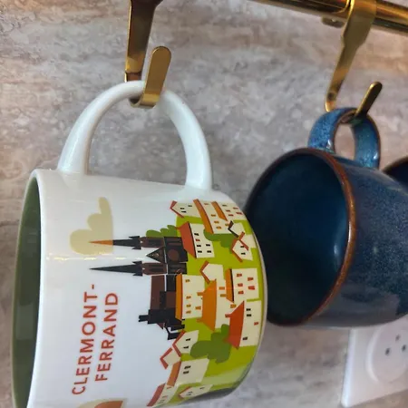 Appartement Lumineux Avec Parking, Centre Clermont-Ferrand