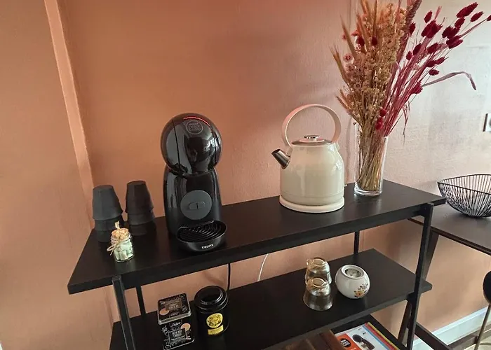 Lumineux Avec Parking, Centre Clermont-Ferrand